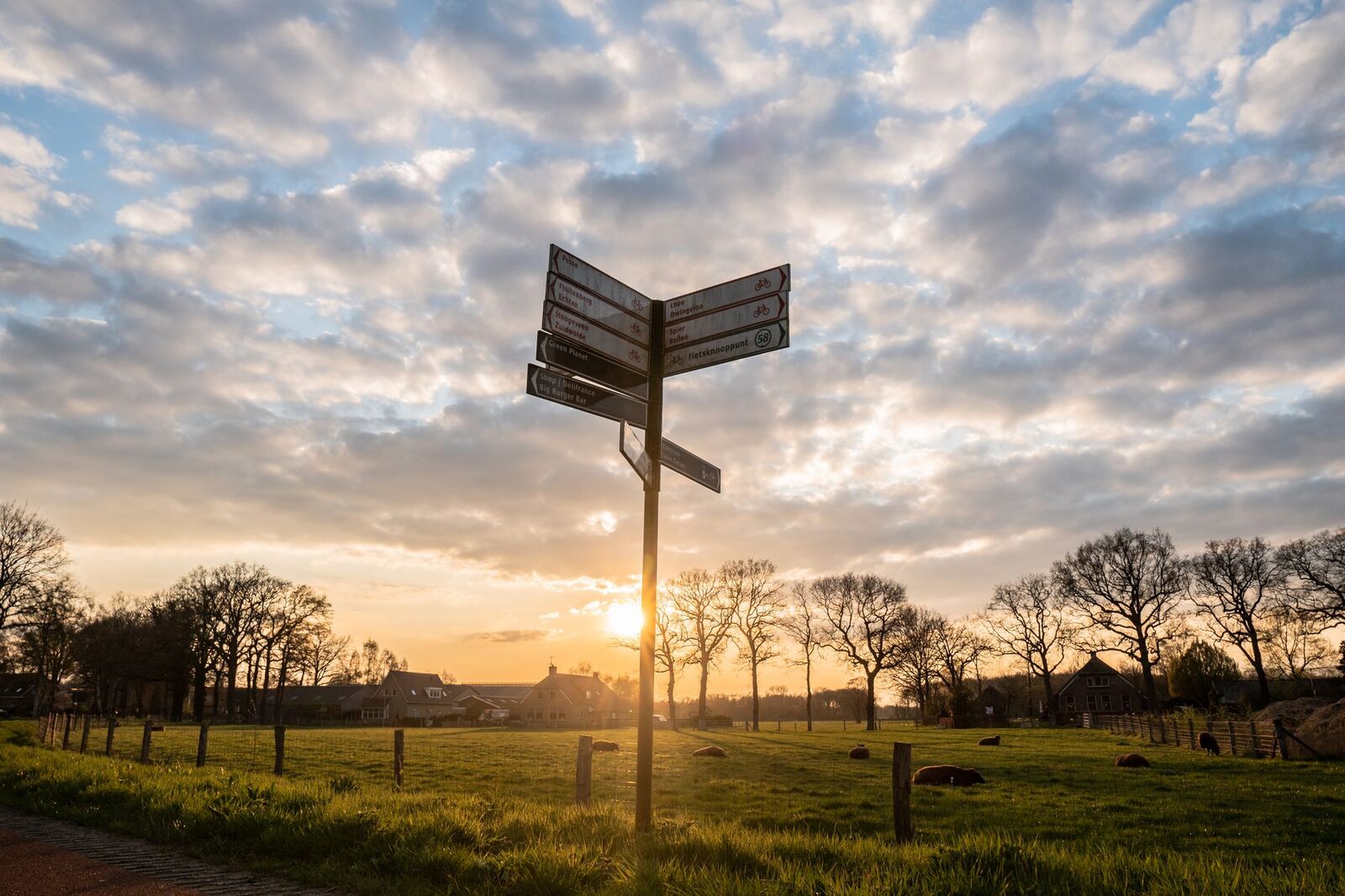 Afbeelding bij blog: Je boerencamping gratis promoten: 9 manieren die werken