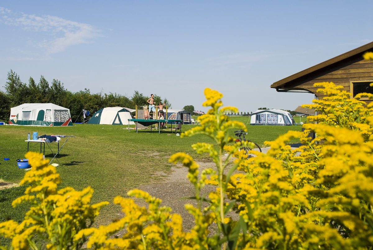 Recreatiebedrijf de blikvaart in Sint annaparochie