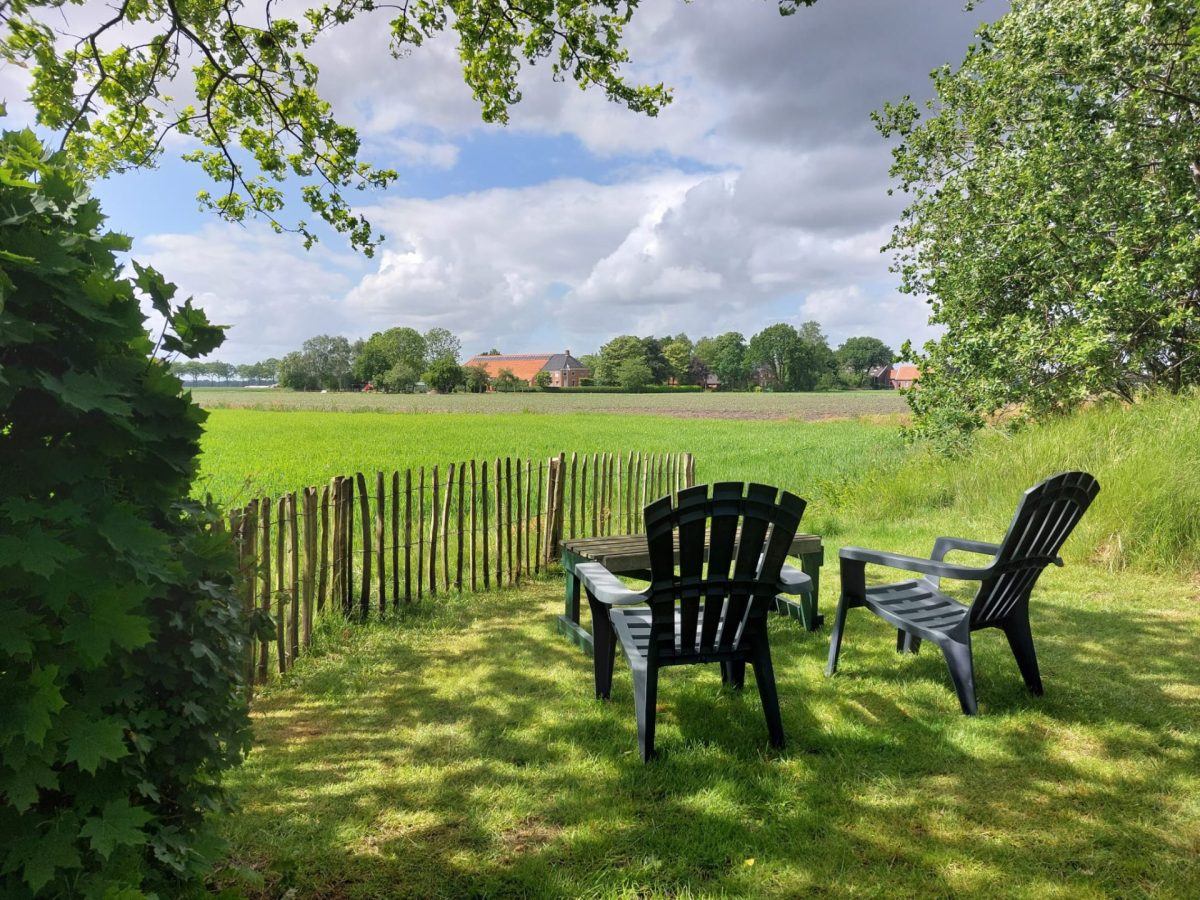 Buitenwedde in Wedde