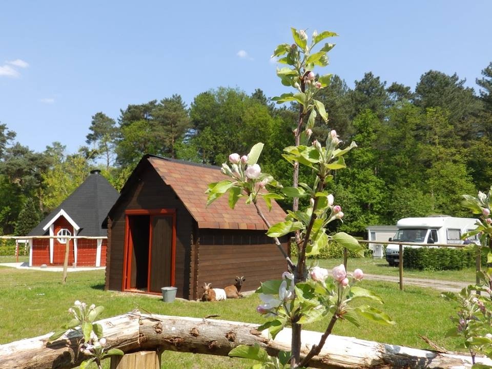 Camping De Zeven Geitjes in Vorselaar