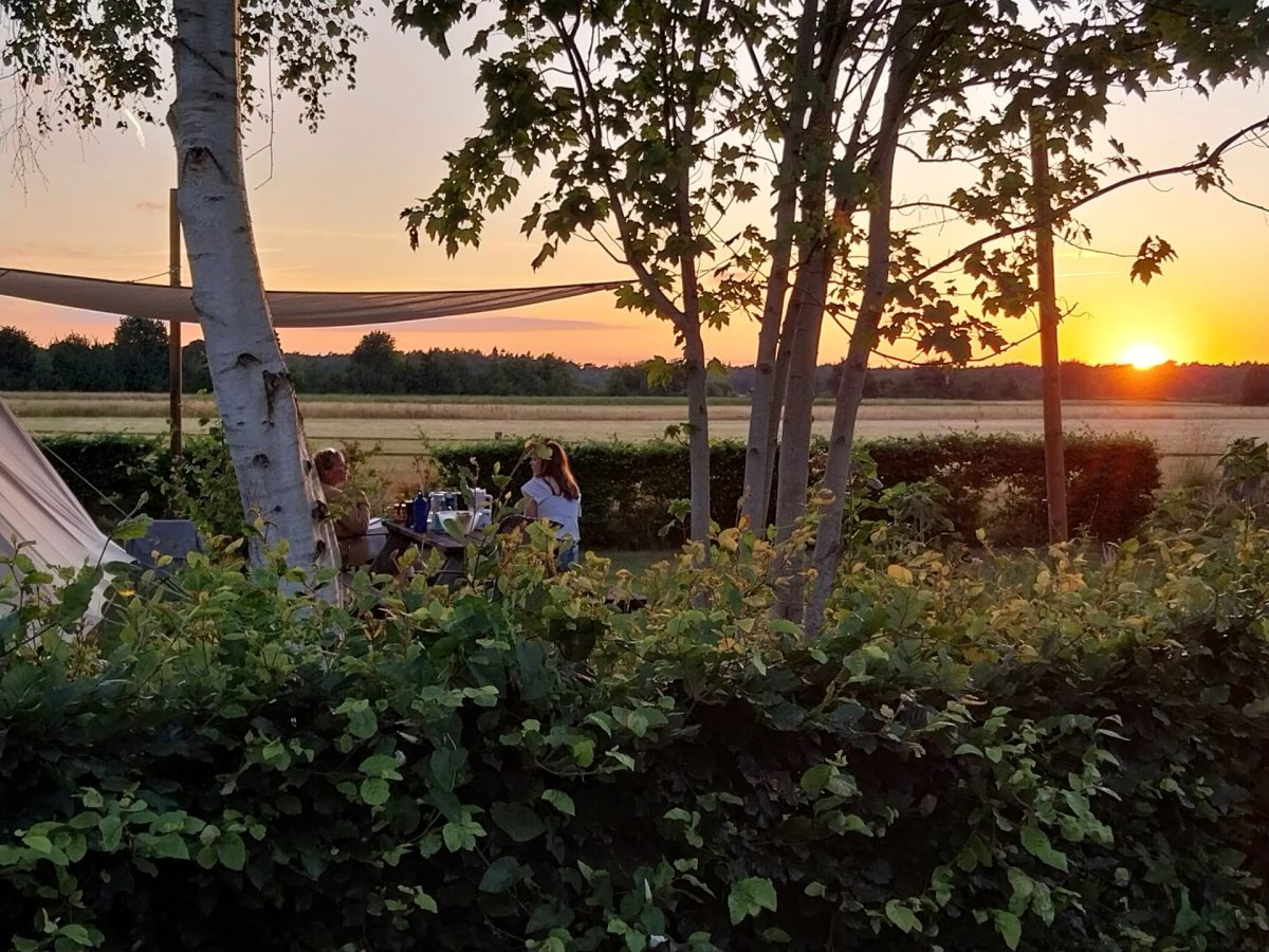 Mini Camping Weideblik in Biezenmortel