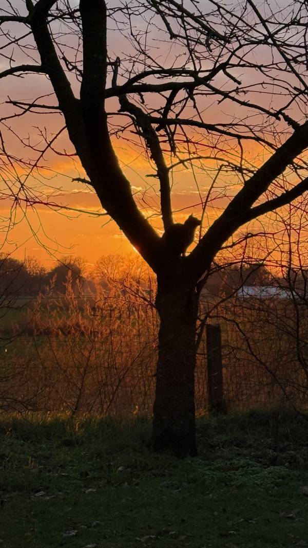 Campingfoto