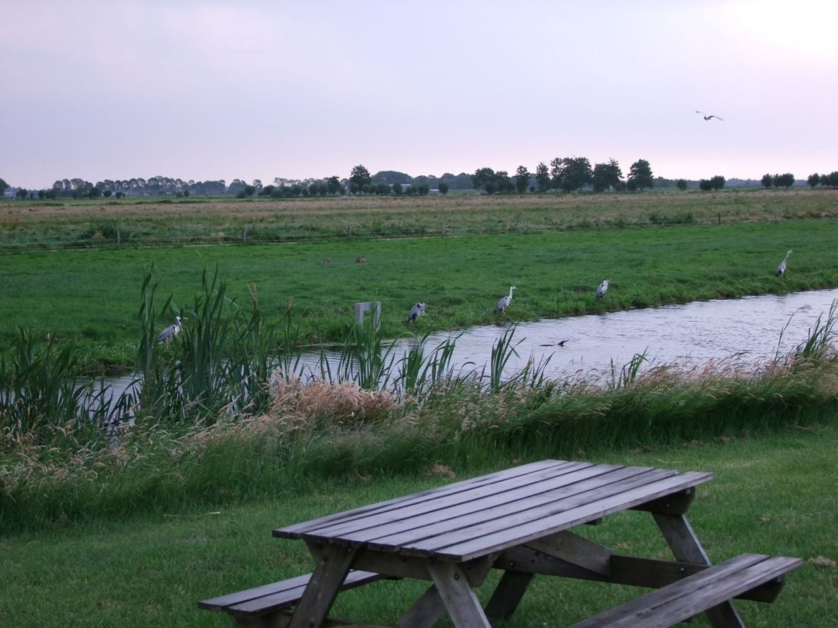 camperplaats aantjes-blokhuis in Haastrecht