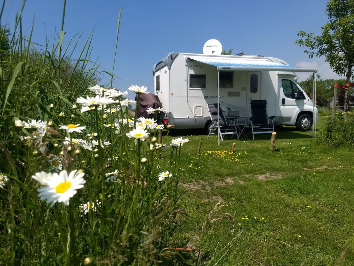 camping de wartenster in Warten