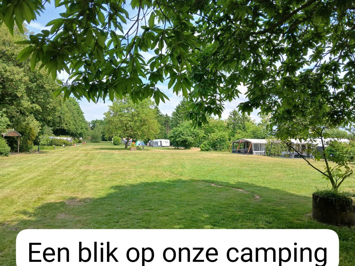 camping d'n twist in Overloon