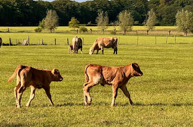 De Menmoerhoeve in Etten-leur