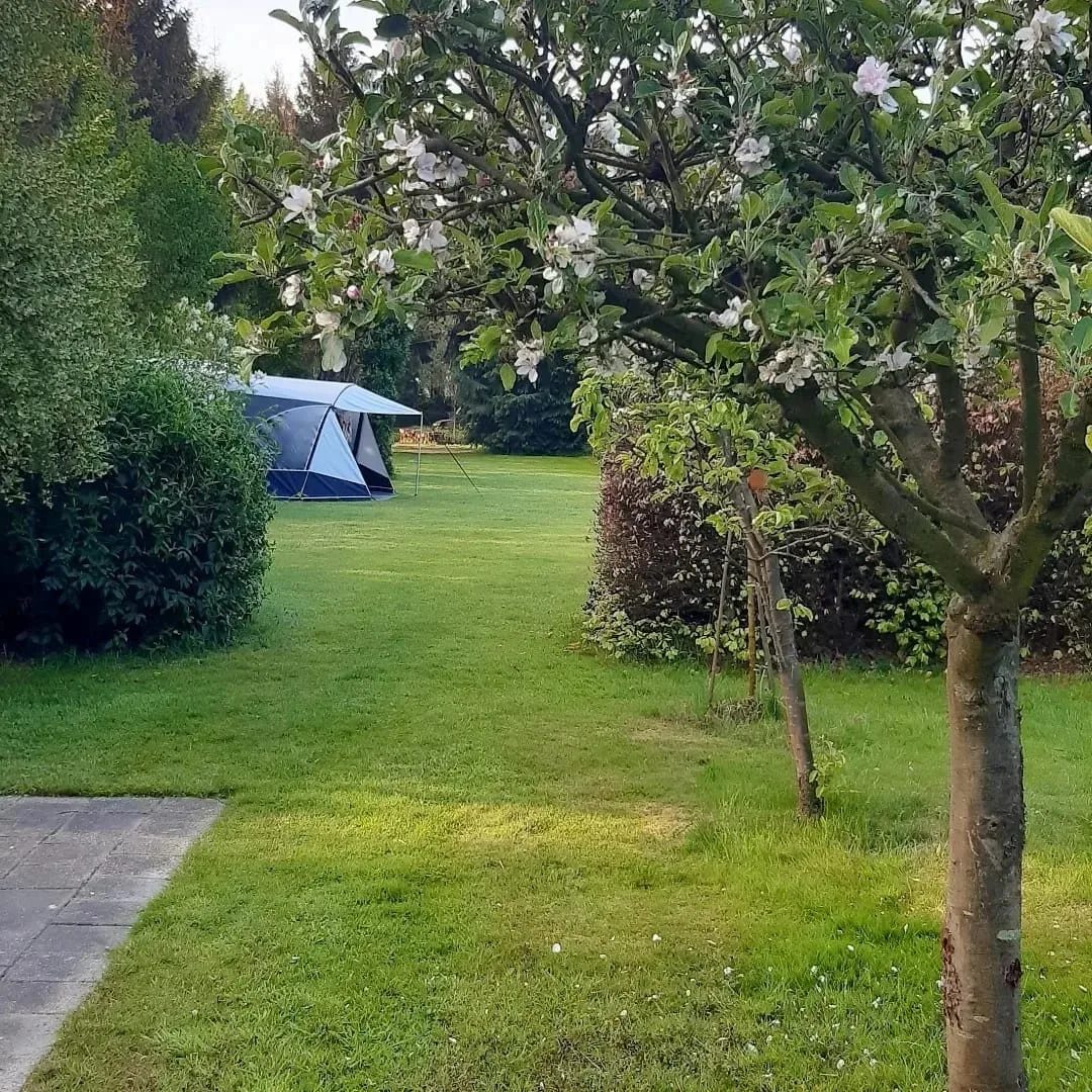 Camping Drentsheerlijk in Geesbrug
