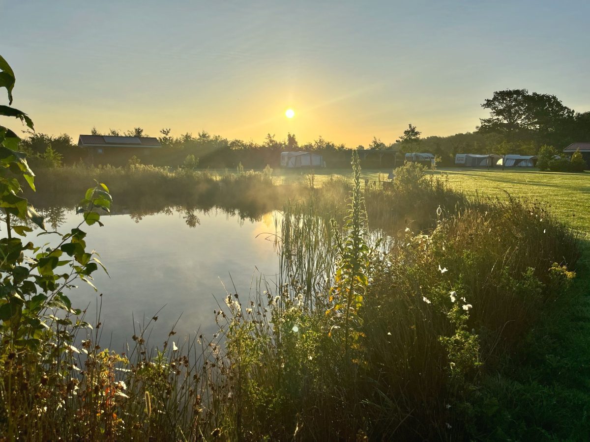 camping het noordenveld in Wapse