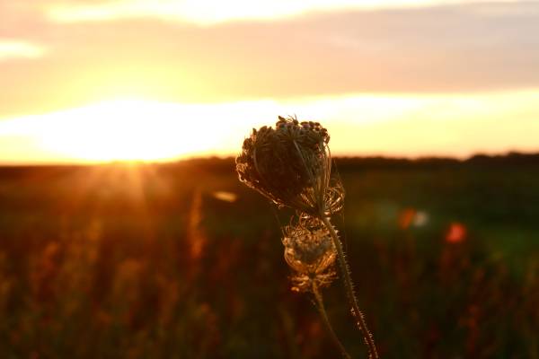Campingfoto