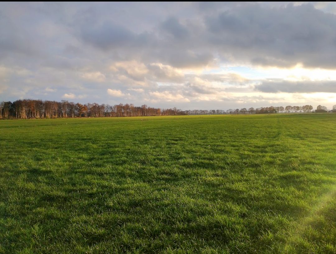 Het Bruchterveld in Bruchterveld