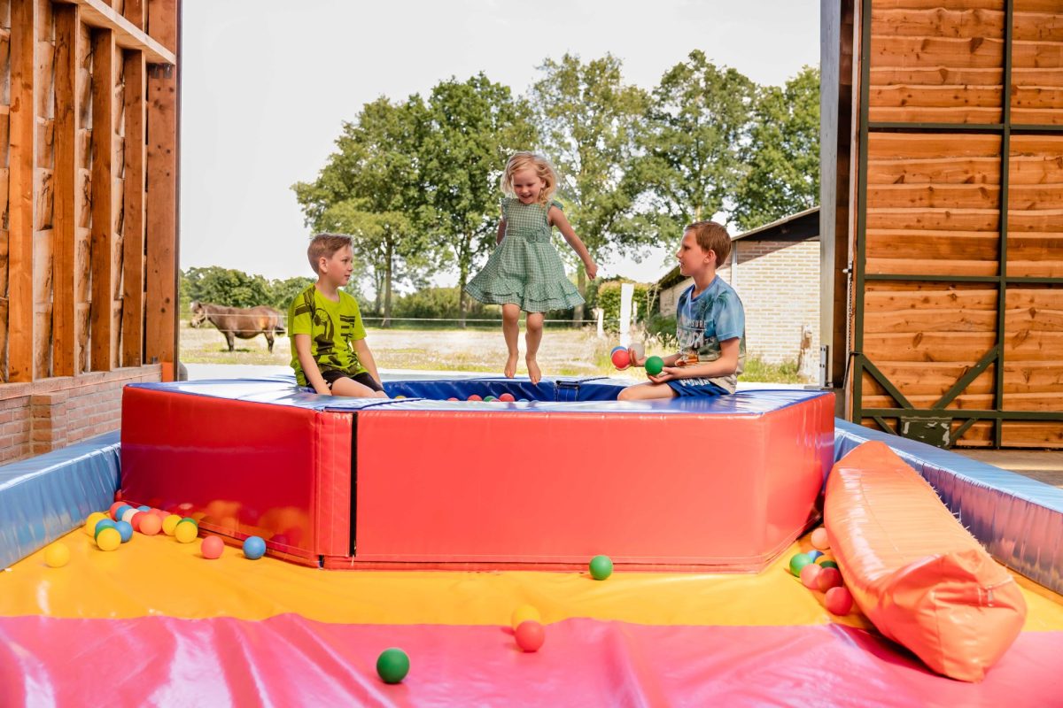 Charmecamping & Appartementen De Regge-Vallei in Den ham