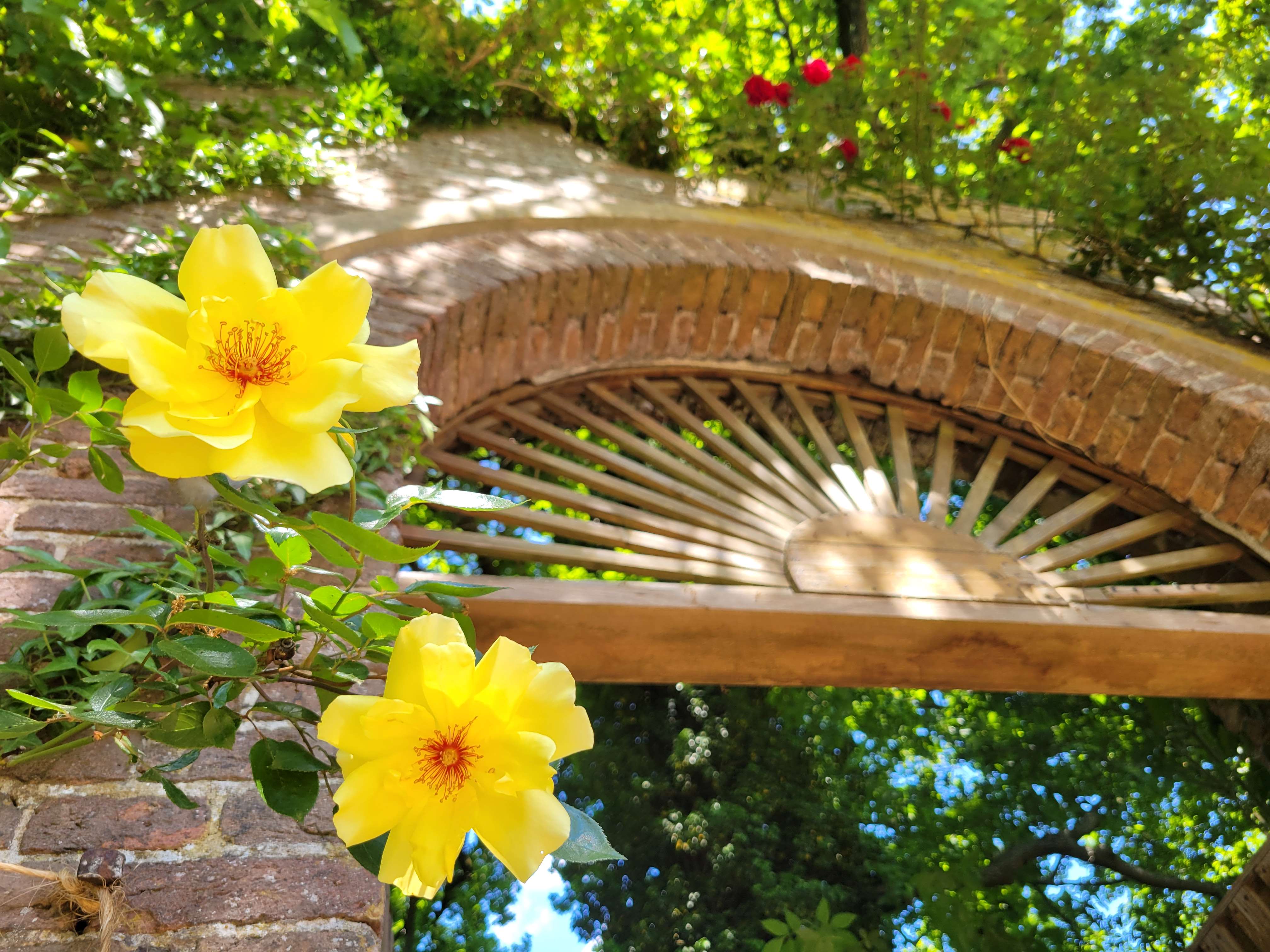 De Ommuurde Tuin